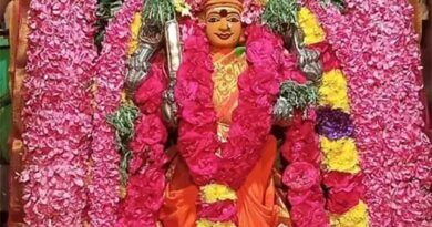 Bhavani in a festive mood. Chelliyandi Amman Temple Masi Car Festival