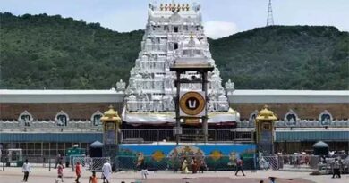 Elephants on the Tirupati Hills Forest devotees warned!