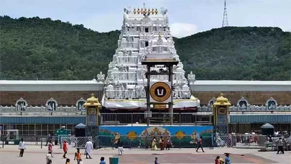 Elephants on the Tirupati Hills Forest devotees warned!