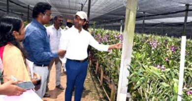 Orchid flower spread over 28 acres. District Collector inspects in person!