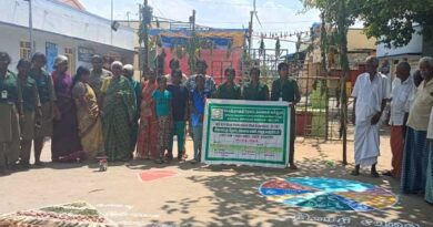 Students give practical training on natural flowering on mango tree