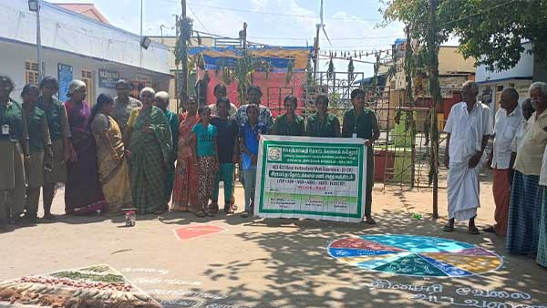 Students give practical training on natural flowering on mango tree