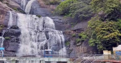 Swimming banned in Kutralam for the 7th consecutive day!