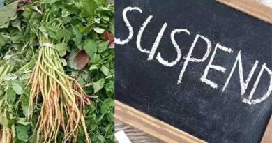 Fraud in the purchase of greens.. Today, the female officer who was about to retire has been suspended!