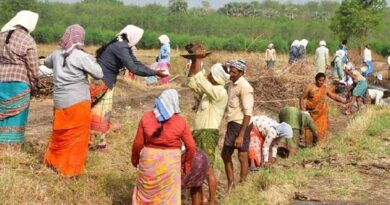 Rs. 17 salary hike for 100 days work scheme workers!