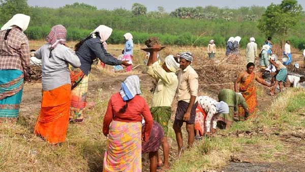 Rs. 17 salary hike for 100 days work scheme workers!