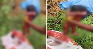 The infant tossed in the rotten fruit with the banana peel!