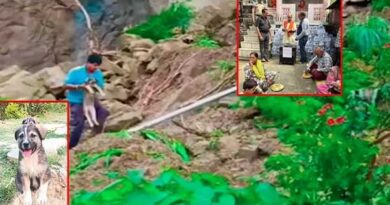 A dog that predicted an earthquake; a miracle that saved 67 lives!