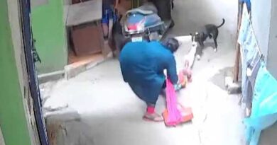 The incident of a stray dog biting and dragging a child... Video goes viral!