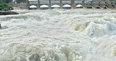This year, the Mettur Dam has filled up for the 4th time: additional water release for delta irrigation!