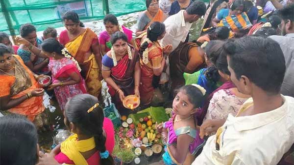 Throughout Tamil Nadu, there is a festive atmosphere... Newlywed couples gathered along the banks of the Kaveri!