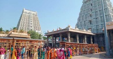 Integrated Cow Museum.. Opening at Tiruvannamalai Temple!