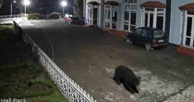 குன்னூர் உபாசி வளாகத்தில் கரடிஅட்டகாசம்