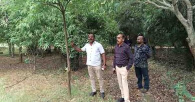 இயற்கைசார்ந்த மருத்துவ சேவைக்கு சிறப்புதிட்டம்