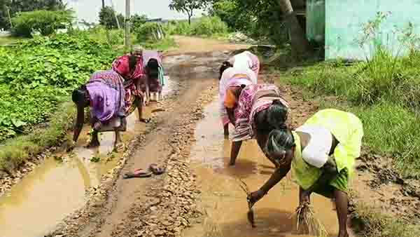 சாலையில் சேற்றில் நாற்று நடும் போராட்டம்