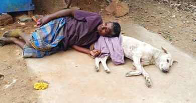 கண்ணுறங்க மடி கொடுத்த நன்றி உள்ள நாய்
