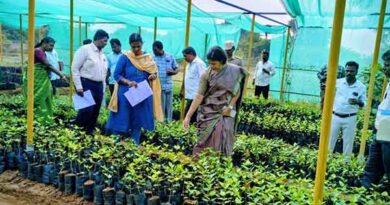 திமிரி ஊராட்சி ஒன்றிய பகுதி வளர்ச்சிபணிகள் ஆய்வு