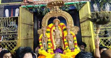 வீரராகவப்பெருமாள் ஏகாதசி சொர்க்கவாசல் திறப்பு