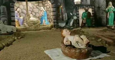 திருவள்ளூரில் கிறிஸ்துமஸ் பண்டிகை கொண்டாட்டம்