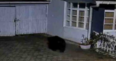 நீலகிரி உபாசி வளாகத்தில் மீண்டும் கரடி அட்டகாசம் 