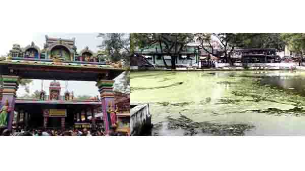 புட்லூர் அங்காள பரமேஸ்வரி பூங்காவனத்து அம்மன்