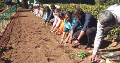 குன்னூர் சிம்ஸ் பூங்காவில்மலர் செடிகள் நடவு செய்யும் பணி