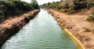 சென்னையின்குடிநீர்க்கு விநாடிக்கு 500 கன அடி திறப்பு சென்னையின் குடிநீர்க்கு விநாடிக்கு 500 கன அடி திறப்பு