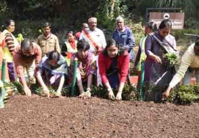 உதகை 128 வது மலர்காட்சிமலர் நாற்றுகள் நடும் பணி உதகை 128 வது மலர்காட்சிமலர் நாற்றுகள் நடும் பணி