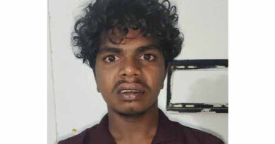 காரில் 4 மாடுகளை திருட முயன்ற இளைஞர் கைது