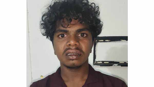 காரில் 4 மாடுகளை திருட முயன்ற இளைஞர் கைது