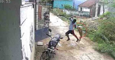 தெரு நாய்கள் கடித்து பெண்கள், சிறுவர்கள் 15 பேர் காயம்