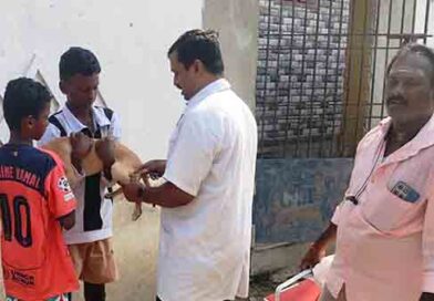 தெருநாய்8 பேரை கடித்த45 தெரு நாய்களுக்கு தடுப்பூசி