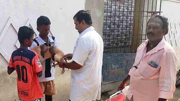தெருநாய்8 பேரை கடித்த45 தெரு நாய்களுக்கு தடுப்பூசி