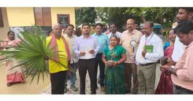பனை விதை பண்ணை,அரசு புறம்போக்கு இடங்கள் தேவை பனை விதை பண்ணை,அரசு புறம்போக்கு இடங்கள் தேவை
