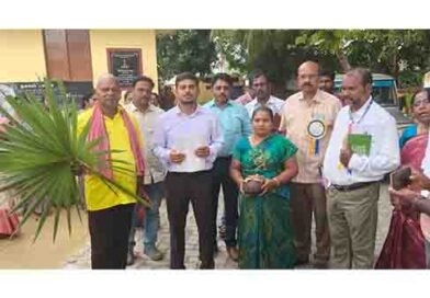 பனை விதை பண்ணை,அரசு புறம்போக்கு இடங்கள் தேவை பனை விதை பண்ணை,அரசு புறம்போக்கு இடங்கள் தேவை