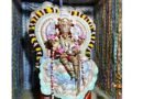 கோட்டை ஸ்ரீ பத்ரகாளியம்மன்கோவில் நவராத்திரி விழா