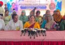 கோவையில் பெண்கள் செய்த சாதனை கோவையில் பெண்கள் செய்த சாதனை
